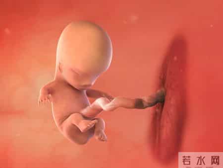 怀孕1-40周，胎儿发育每周变化！孕妈妈的干货科普