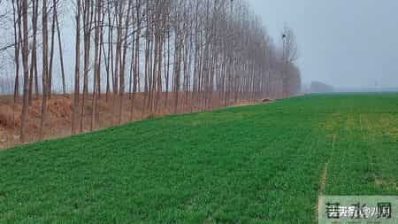 60岁后，手里有钱，心里不慌，这才是晚年最硬气的靠山