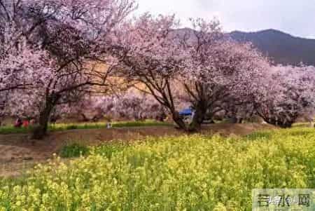 惊人的母子定律：原来母亲的样子，决定了孩子的一生