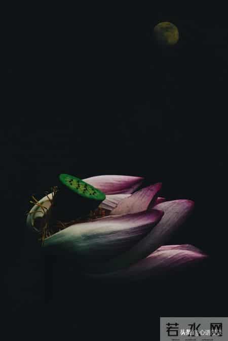 我52岁，退休后才发现：哪怕每月一两千的退休金，也是被人羡慕的