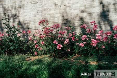 回忆录——十七的我就变成了打工仔