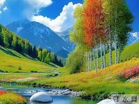 带娃办事=免费社会化教育！手把手教你把日常变成课堂