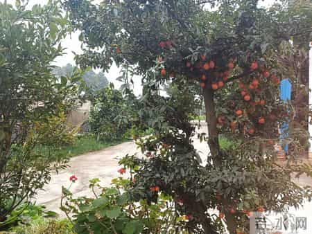 若你也是母亲，请收下这份保命符愿你的孩子，脚下生花，遇人皆善