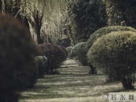 70岁大爷忠告-子女再孝顺也别住在一起，这3个弊端太现实