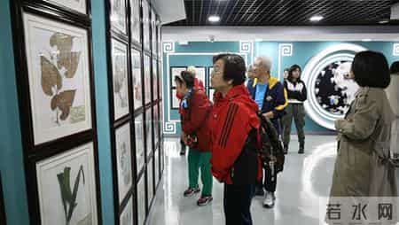 坪山这家医院开放日活动，让香港居民直呼“中医智慧太神奇”