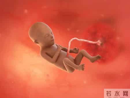 怀孕1-40周，胎儿发育每周变化！孕妈妈的干货科普