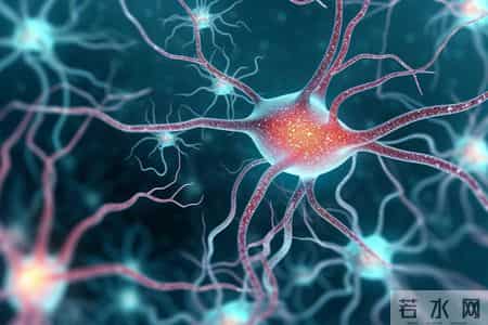 心脏支架一放，人生倒计时就开始了？医生说出实话：这6点要注意