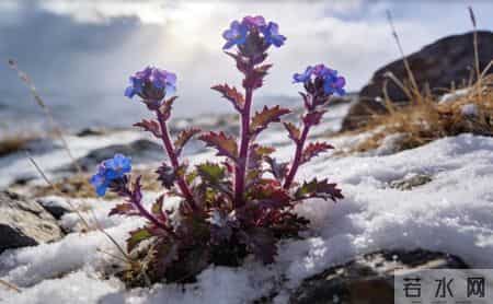 一降温就腰痛？医生：1个有效缓解腰痛的办法，效果立竿见影