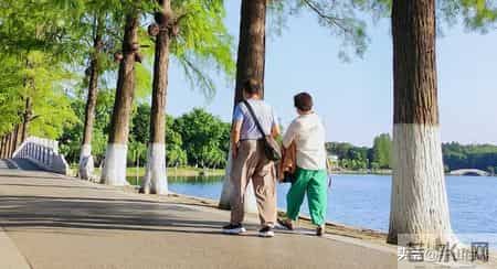 宁愿独居也不跟儿子同住，戳中老人心声：忍气吞声不如独自清净！