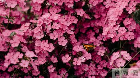 戌狗，人算不如天算，1月8日周四最大的坎，可能不是事，而是人