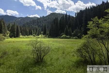 改变一个孩子最有效的手段，不是讲道理、发脾气，而是这两个字