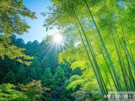 别让你的“省事”，换来孩子未来的“费事”