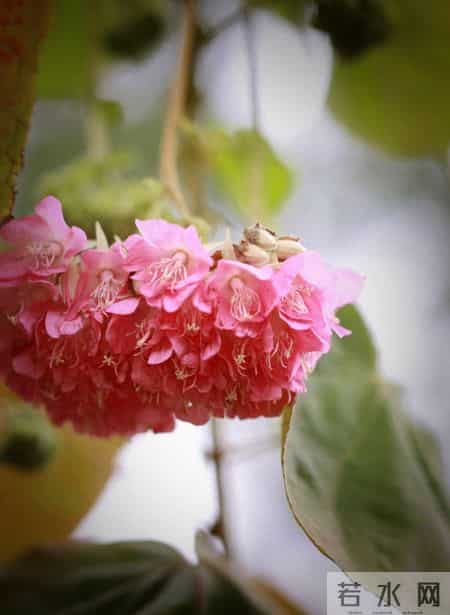 社保回本真相：活到70岁才够本！没活过的人都成了“公益贡献者”