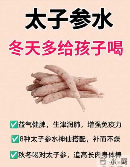 秋冬孩子长高黄金期！8款太子参水食谱，健脾润肺不生病