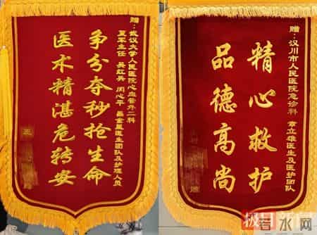 60公里生死时速，医联体跑出跨院“拆弹”加速度！汉川-武汉两院接力成功救治凶险主动脉夹层患者