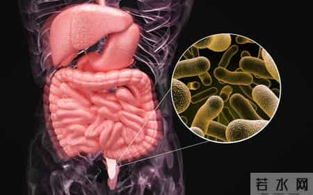 戒烟再次火了？医生发现：肺炎患者戒烟时，出现6种情况，很正常