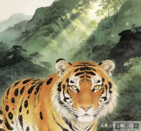 寅虎留意：1月9-14号，你最该防的或许不是事，而是人！