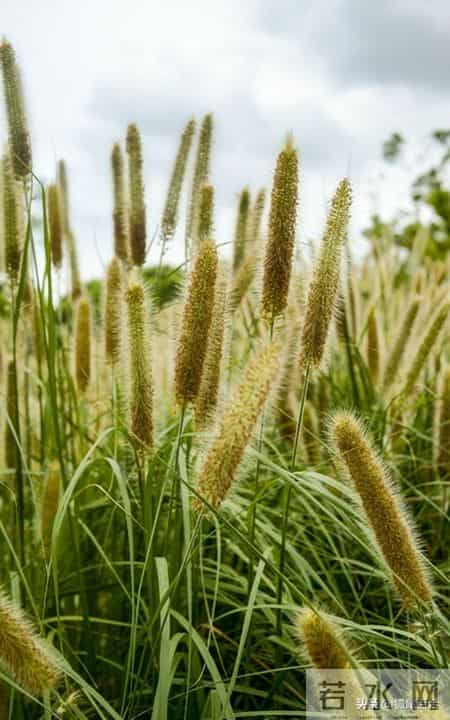 52岁退休阿姨，疯狂找活干的背后，藏着多少心酸