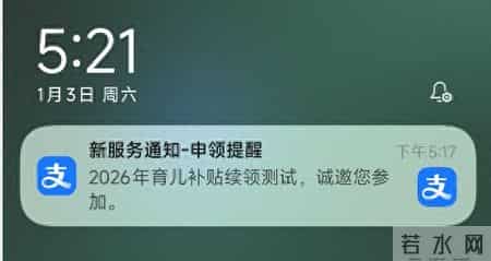 育儿补贴！今起开放申领→