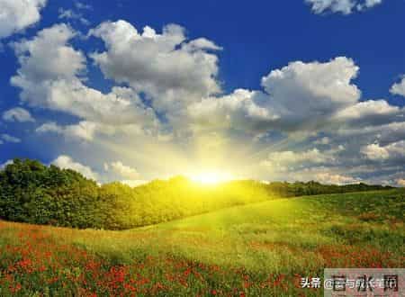 退休2年，我才发现，65岁以上还在拼命打工的人，基本上是这5种人