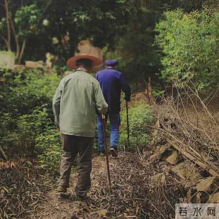 老了，怕的不是死，是受罪，80岁走真的刚好够本？