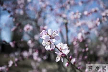 从今往后，你家孩子将越来越顺利