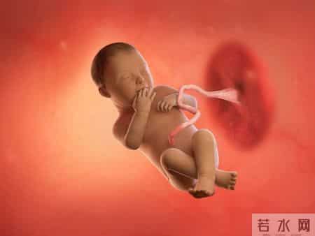 怀孕1-40周，胎儿发育每周变化！孕妈妈的干货科普