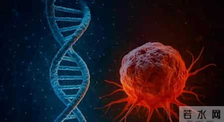 女人若满足4个特征，容易被“乳腺癌”盯上，看看你有没？