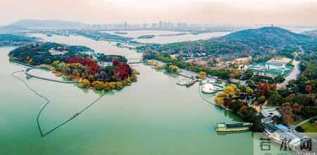 “苏大强”的养老难题，经济引擎轰鸣，退休后的出行却仍显沉重