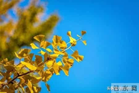 人过七十，最大的聪明是“薄情”：哪怕亲戚再亲，也不要主动