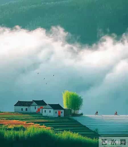 老了才明白，老年人最怕的三件事，千万别有，切记！