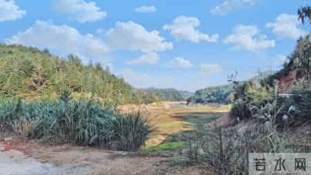 人老了，若没这三分狠心，你的晚年就是儿女眼里的鸡肋，食之无味