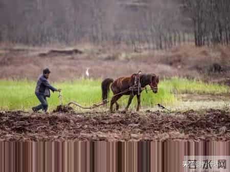 八十岁以后，折腾没用！百岁老人临终4大忠告，胜过退休金