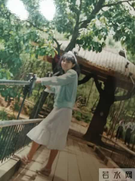 上个世纪九十年代的一些回忆