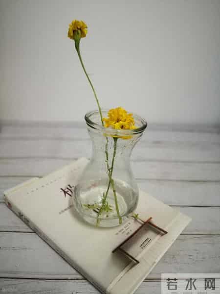 我发现现在最幸福的人，就是拿着高额退休金，又被返聘的人