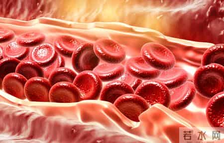 医生调查发现：上了年纪经常吃鸡蛋，不出半年或有这几大关键变化