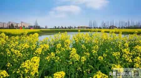 两性关系：单身老年人搭伙养老，一定要重视这几件事