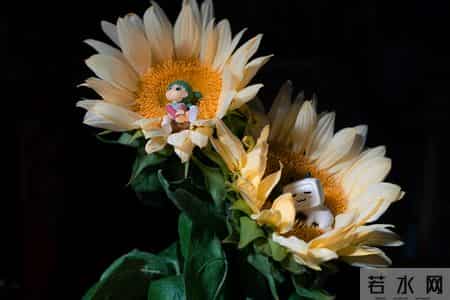 尽早告诉孩子：保护自己才是头等大事，认输投降不丢人