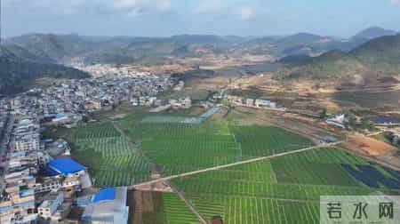 砚山 3 大法宝，让群众在家门口端稳 “金饭碗”