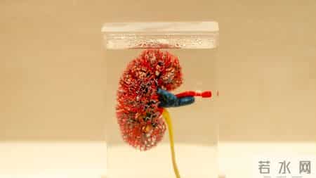 为何尿毒症越来越多？劝告：3物别贪嘴，肾会感激你！