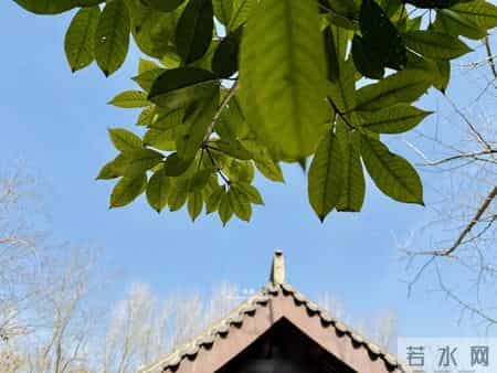 老了以后，这三种人再熟也别见