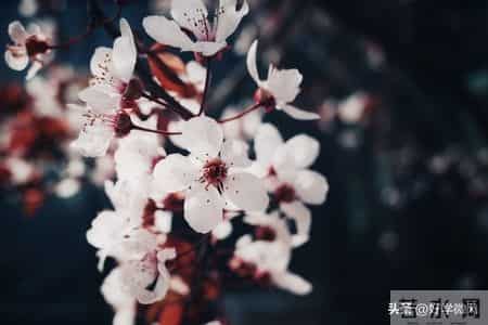 人老了才明白，对待孙辈，爷爷奶奶要记住四不原则，很管用