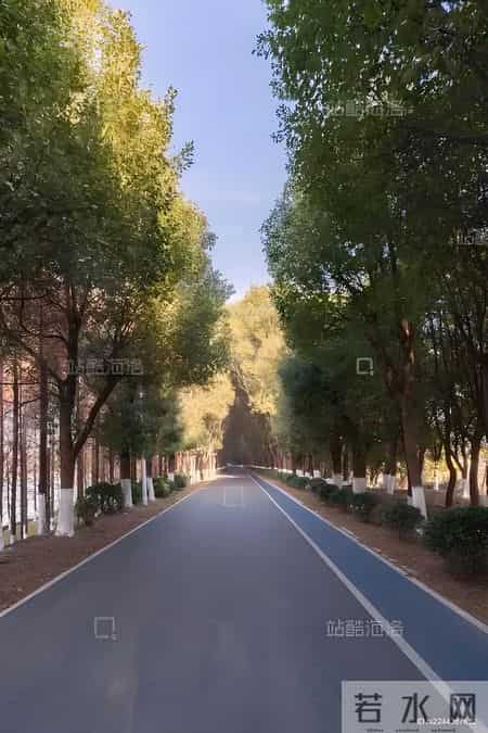 基数上涨工资未动：打工人的"当下焦虑"与"未来保障"博弈