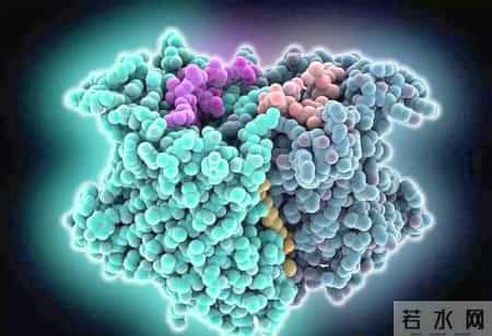 吃了十年他汀才明白：瑞舒伐他汀这6个秘密，很多老病号都不知道