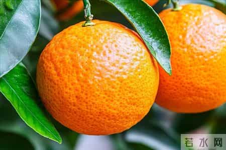 服用降糖药，不可以吃橘子？告诫：吃降糖药，2种水果请谨慎食用