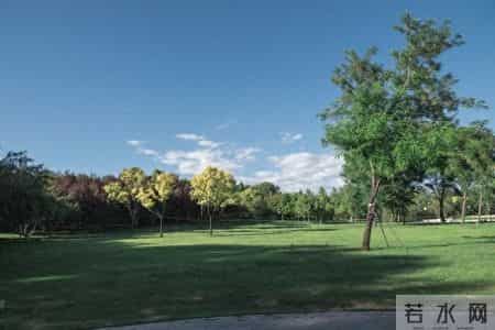 越跟烂人较真，你输得越惨！这效应要懂