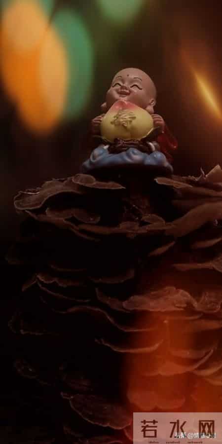 2026年，兄弟你该起势！