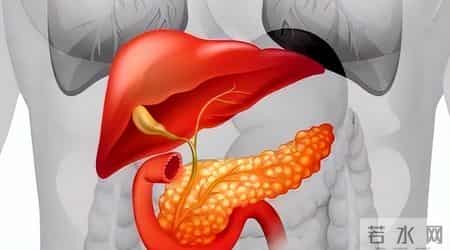 白米粥再次被关注，医生提醒：糖尿病患者常喝白米粥，有5大变化