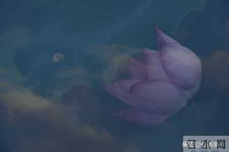 我52岁，退休后才发现：哪怕每月一两千的退休金，也是被人羡慕的