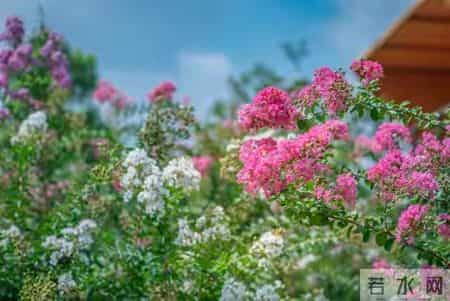 你家孩子马上要遇贵人了！但得教会他“接住”